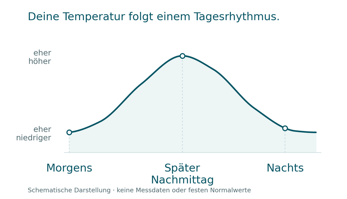 Schematischer Tagesverlauf der Körpertemperatur: morgens eher niedriger, am späten Nachmittag höher und nachts wieder niedriger. Keine Messdaten oder festen Normalwerte.